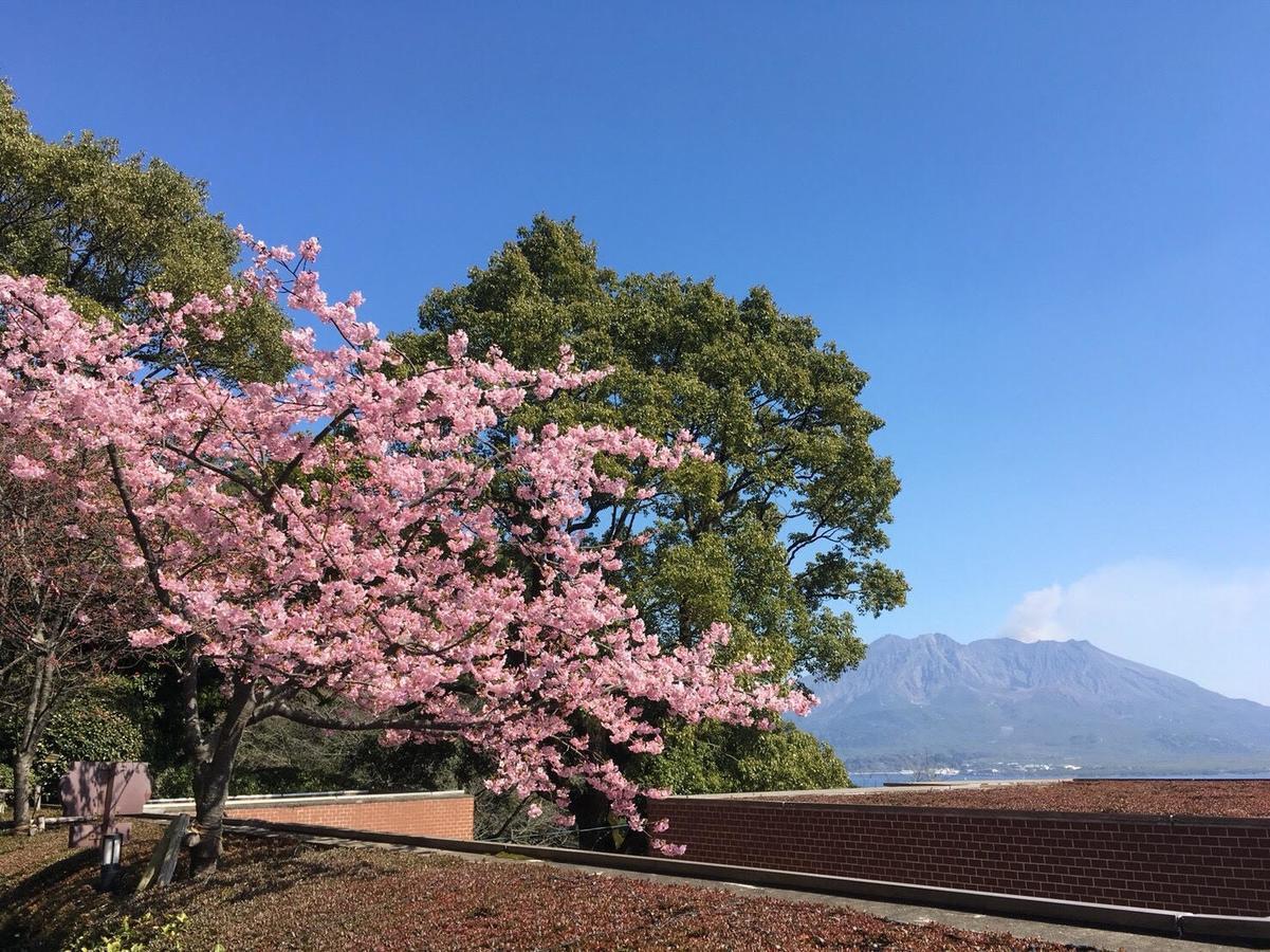 Shiroyama Hotel Kagoshima Zewnętrze zdjęcie